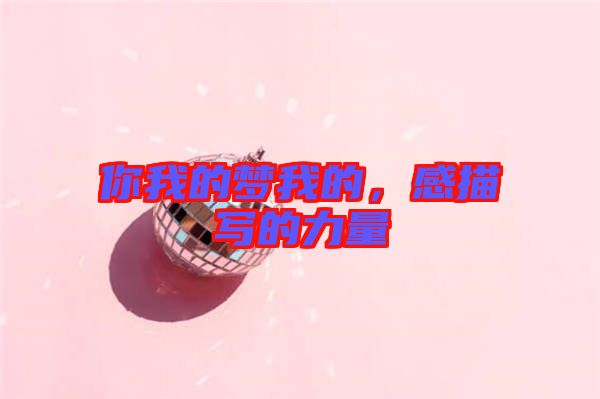你我的夢(mèng)我的，感描寫的力量