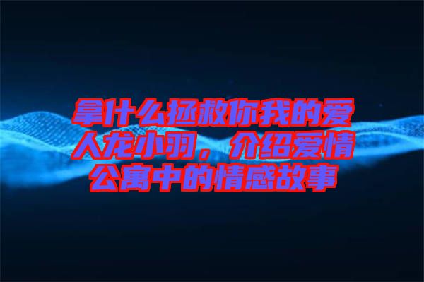 拿什么拯救你我的愛人龍小羽，介紹愛情公寓中的情感故事