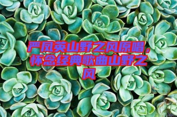 嚴(yán)鳳英山野之風(fēng)原唱，懷念經(jīng)典歌曲山野之風(fēng)