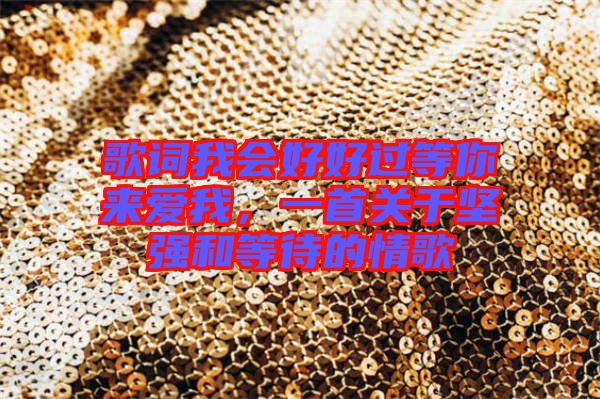 歌詞我會好好過等你來愛我，一首關(guān)于堅強和等待的情歌