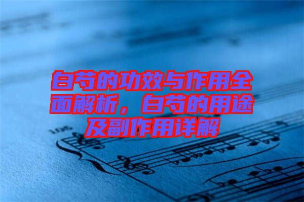 白芍的功效與作用全面解析，白芍的用途及副作用詳解
