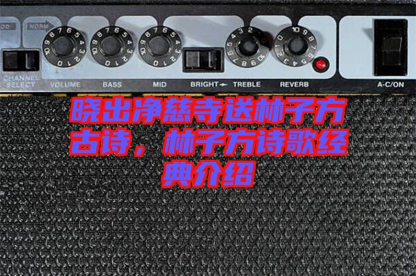 曉出凈慈寺送林子方古詩(shī)，林子方詩(shī)歌經(jīng)典介紹