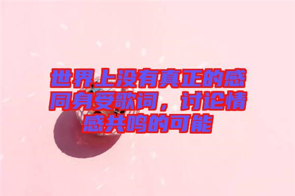 世界上沒有真正的感同身受歌詞，討論情感共鳴的可能
