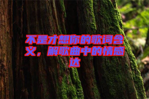 不是才想你的歌詞含義，解歌曲中的情感達