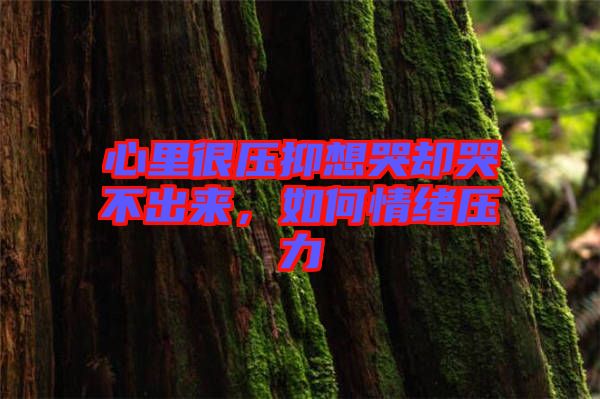 心里很壓抑想哭卻哭不出來(lái)，如何情緒壓力
