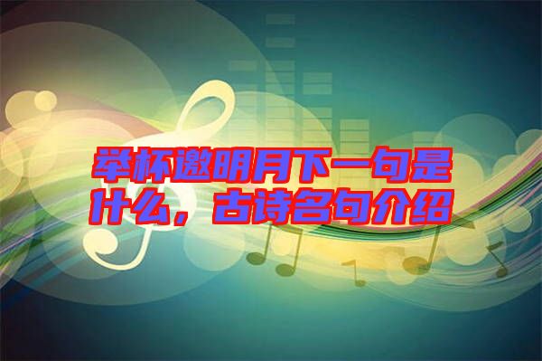 舉杯邀明月下一句是什么，古詩名句介紹