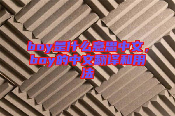 boy是什么意思中文，boy的中文翻譯和用法
