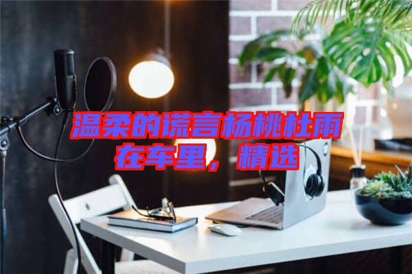 溫柔的謊言楊桃杜雨在車里，精選