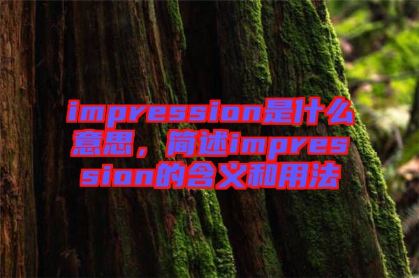 impression是什么意思，簡(jiǎn)述impression的含義和用法