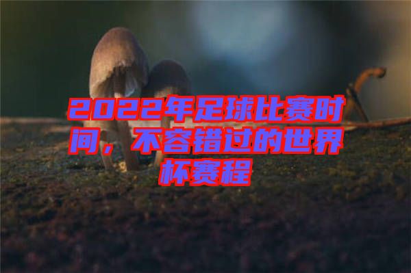 2022年足球比賽時(shí)間，不容錯(cuò)過的世界杯賽程