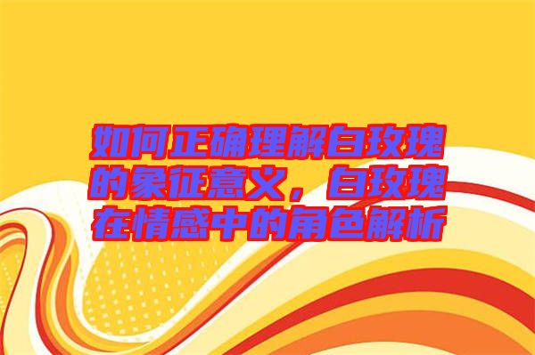 如何正確理解白玫瑰的象征意義，白玫瑰在情感中的角色解析