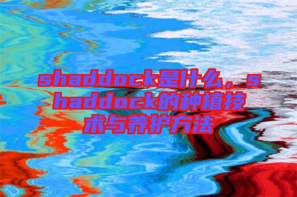 shaddock是什么，shaddock的種植技術(shù)與養(yǎng)護(hù)方法