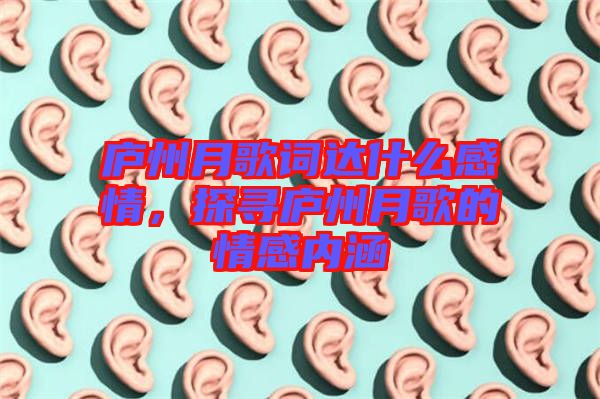 廬州月歌詞達(dá)什么感情，探尋廬州月歌的情感內(nèi)涵