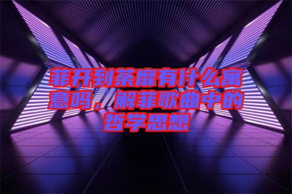 菲開到荼靡有什么寓意嗎，解菲歌曲中的哲學(xué)思想