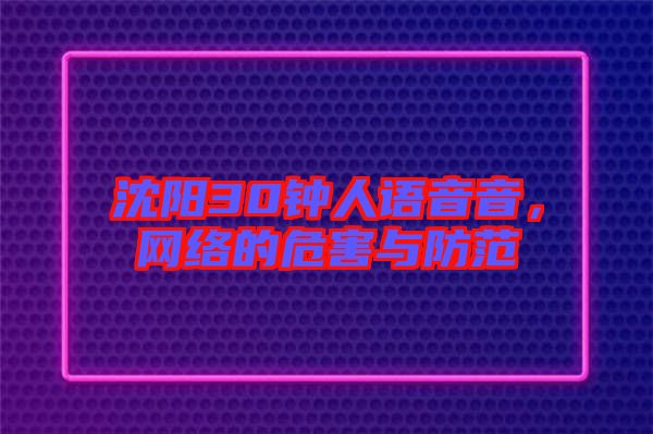 沈陽30鐘人語音音，網(wǎng)絡的危害與防范