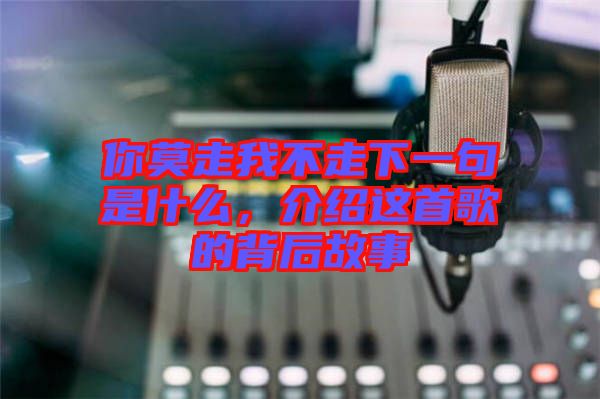 你莫走我不走下一句是什么，介紹這首歌的背后故事