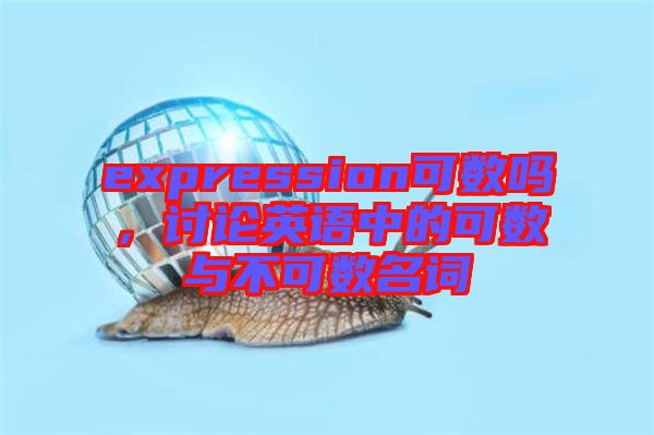 expression可數(shù)嗎，討論英語中的可數(shù)與不可數(shù)名詞