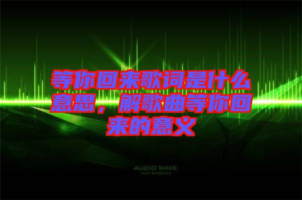等你回來歌詞是什么意思，解歌曲等你回來的意義