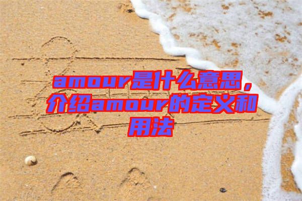 amour是什么意思，介紹amour的定義和用法