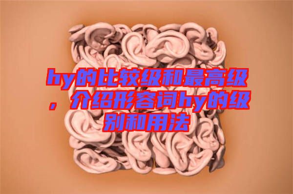 hy的比較級和最高級，介紹形容詞hy的級別和用法