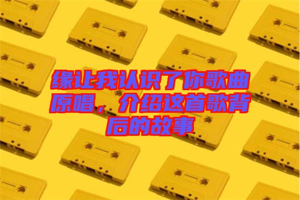 緣讓我認(rèn)識(shí)了你歌曲原唱，介紹這首歌背后的故事