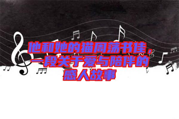 他和她的貓周蕩書佳，一段關(guān)于愛與陪伴的感人故事
