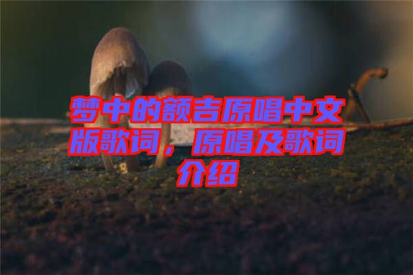 夢中的額吉原唱中文版歌詞，原唱及歌詞介紹