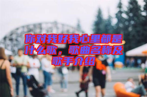 你對我好我心里都是什么歌，歌曲名稱及歌手介紹