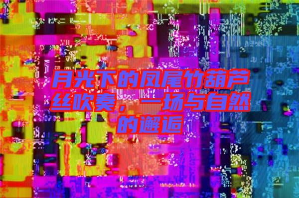 月光下的鳳尾竹葫蘆絲吹奏，一場(chǎng)與自然的邂逅