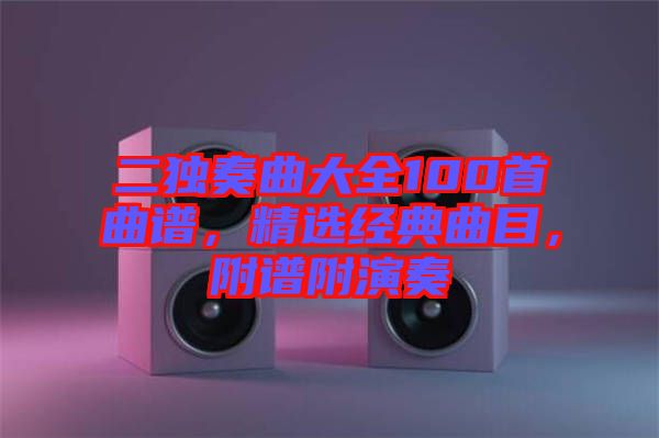 二獨(dú)奏曲大全100首曲譜，精選經(jīng)典曲目，附譜附演奏