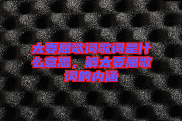 太委屈歌詞歌詞是什么意思，解太委屈歌詞的內(nèi)涵