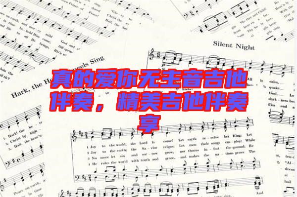 真的愛你無主音吉他伴奏，精美吉他伴奏享