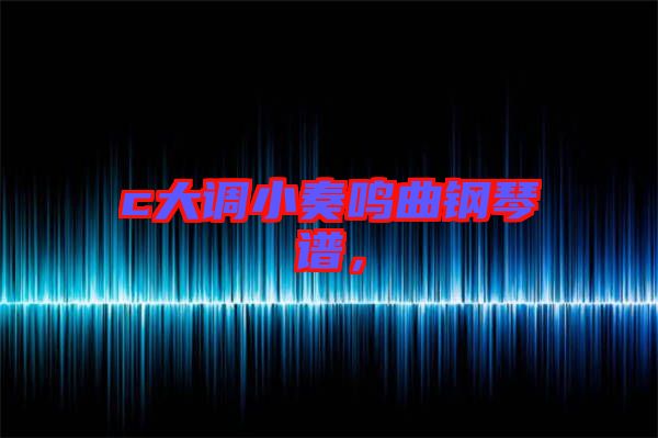 c大調(diào)小奏鳴曲鋼琴譜，