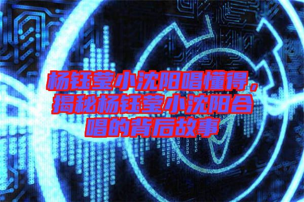 楊鈺瑩小沈陽唱懂得，揭秘楊鈺瑩小沈陽合唱的背后故事