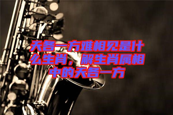 天各一方難相見是什么生肖，解生肖屬相中的天各一方