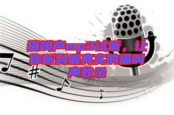 貓叫聲mp3試聽，讓你聽到最真實的貓叫聲收錄