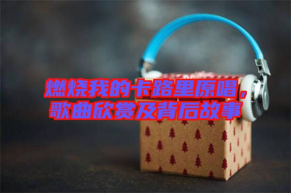 燃燒我的卡路里原唱，歌曲欣賞及背后故事