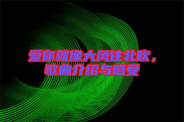 愛(ài)你就像大風(fēng)往北吹，歌曲介紹與感受