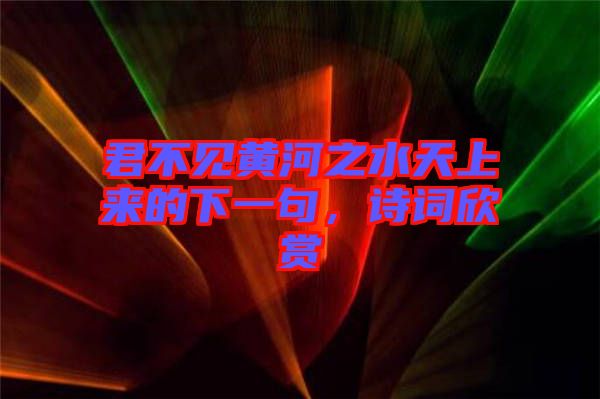 君不見(jiàn)黃河之水天上來(lái)的下一句，詩(shī)詞欣賞