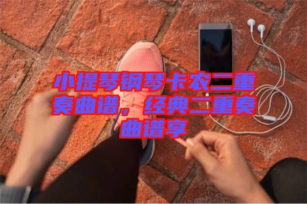 小提琴鋼琴卡農(nóng)二重奏曲譜，經(jīng)典二重奏曲譜享