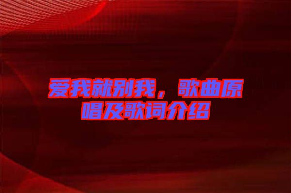 愛我就別我，歌曲原唱及歌詞介紹