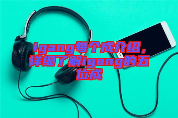 igang每個(gè)成介紹，詳細(xì)了解igang的五位成