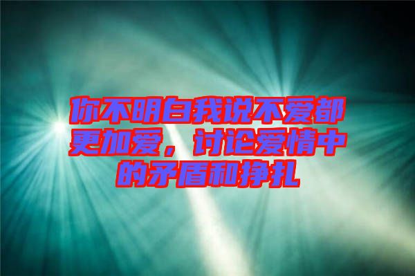 你不明白我說不愛都更加愛，討論愛情中的矛盾和掙扎