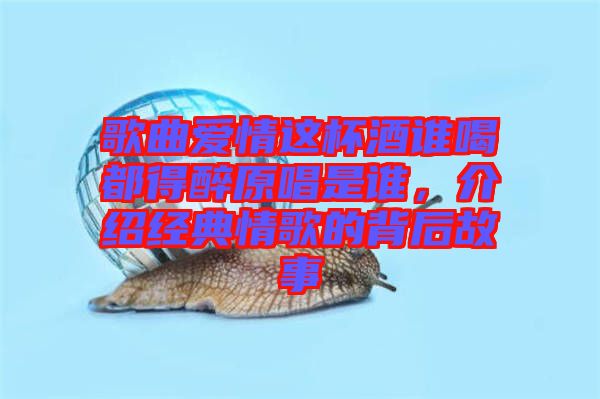歌曲愛情這杯酒誰喝都得醉原唱是誰，介紹經(jīng)典情歌的背后故事