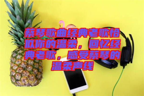 蔡琴歌曲經典老歌恰似你的溫柔，回憶經典老歌，感受蔡琴的溫柔聲線