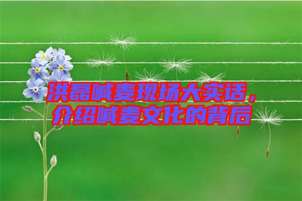 洪磊喊麥現(xiàn)場大實(shí)話，介紹喊麥文化的背后
