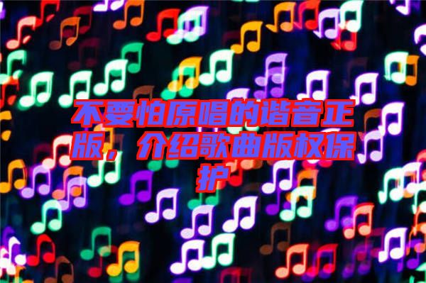 不要怕原唱的諧音正版，介紹歌曲版權保護