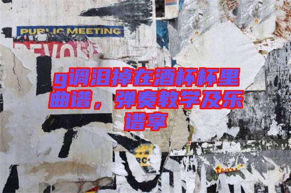 g調(diào)淚掉在酒杯杯里曲譜，彈奏教學(xué)及樂譜享