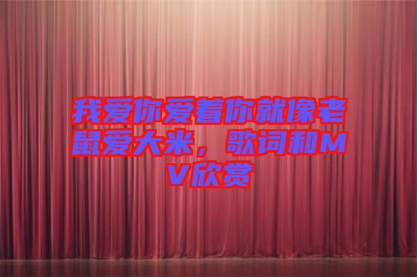 我愛你愛著你就像老鼠愛大米，歌詞和MV欣賞