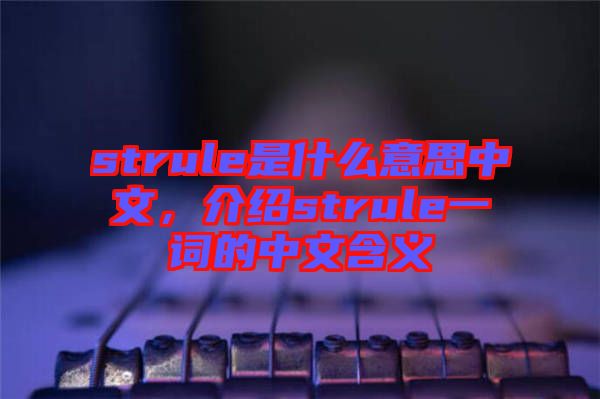 strule是什么意思中文，介紹strule一詞的中文含義